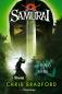 Preview: Band 4: Der Ring der Erde Preview: Band 4: Der Ring der Erde