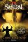 Preview: Band 8: Der Ring des Himmels Preview: Band 8: Der Ring des Himmels