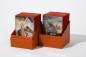 Preview: Ultimate Guard Boulder Deck Case Return to Earth 100+ Orange Preview: Ultimate Guard Boulder Deck Case Return to Earth 100+ Orange