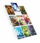 Preview: Ultimate Guard 9-Pocket Pages (100)