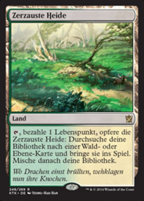 Zerzauste Heide