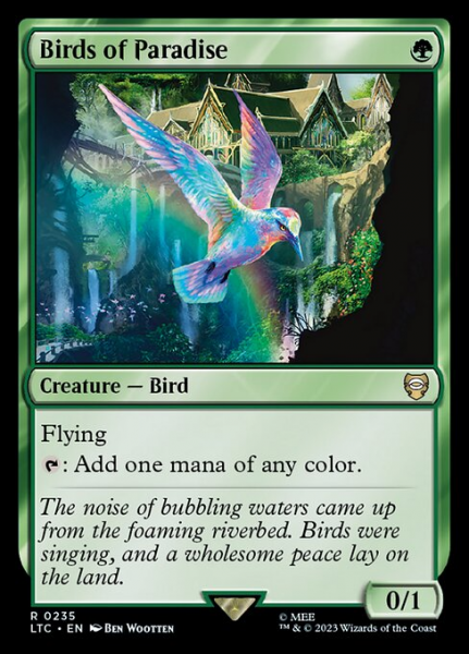 Birds of Paradise Birds of Paradise