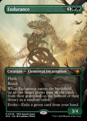 Endurance (Foil) Endurance (Foil)