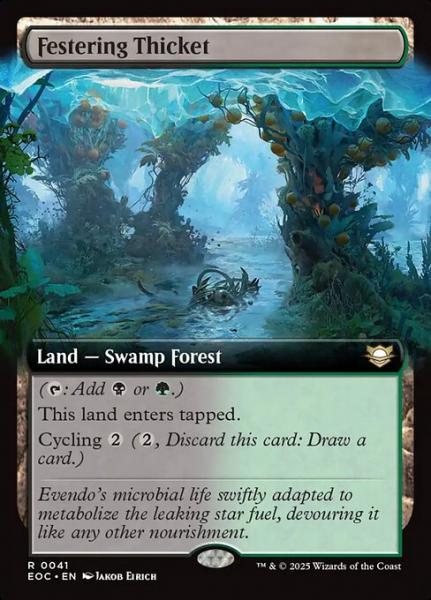 Festering Thicket Festering Thicket